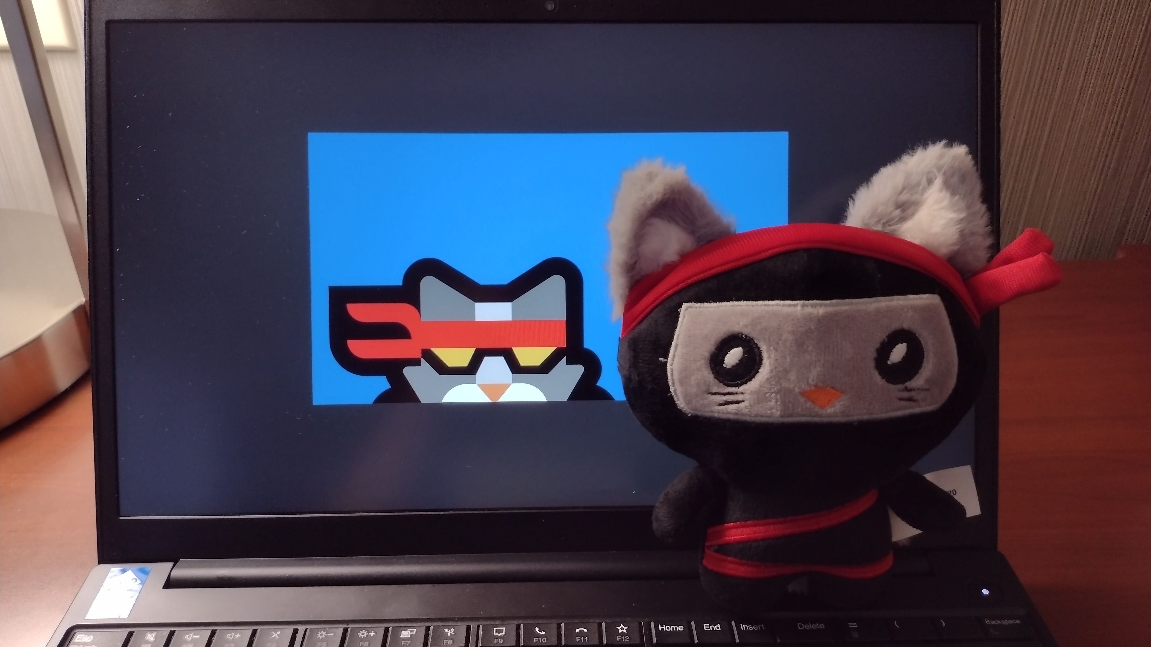 Microsoft Ninja Cat